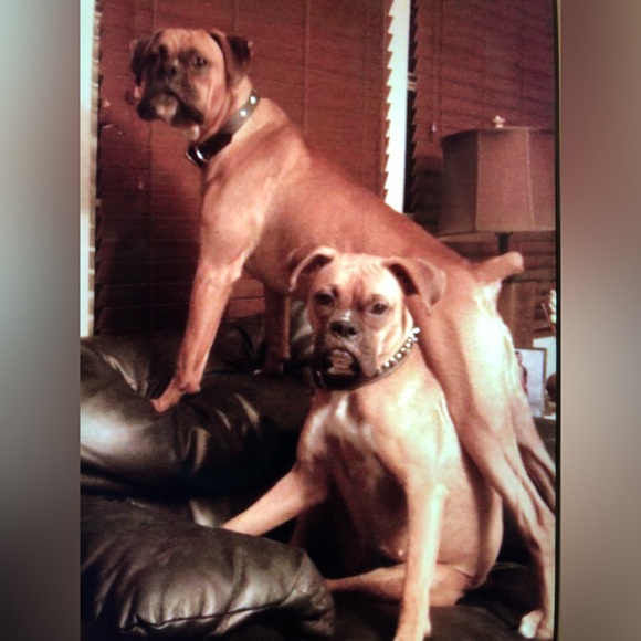 OVER 5LBS ADDITIONAL CHARGE. - Picture 1 of 9